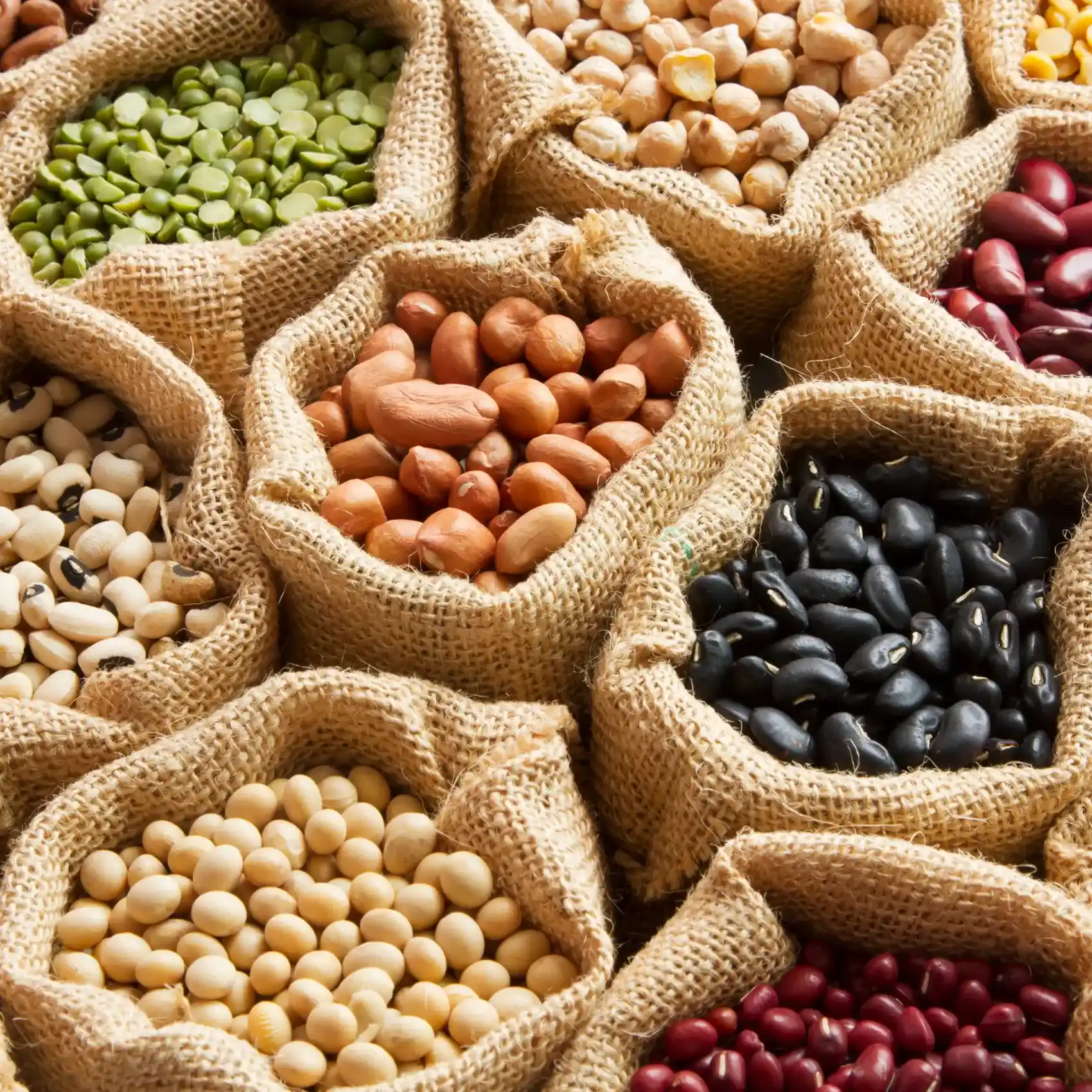a group of bags of legume beans