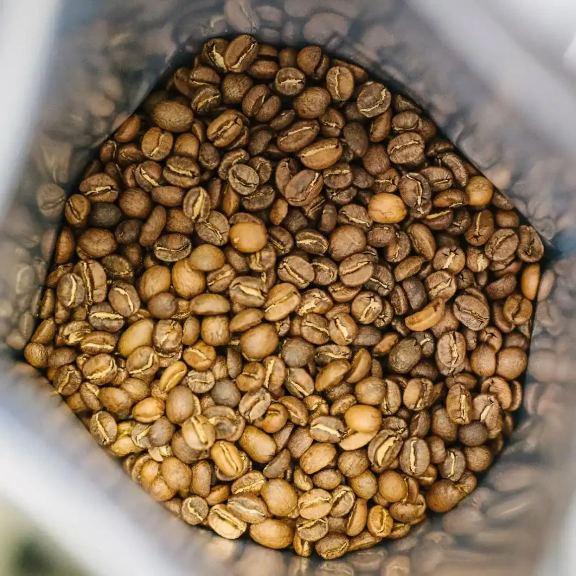 a container full of roasted coffee beans