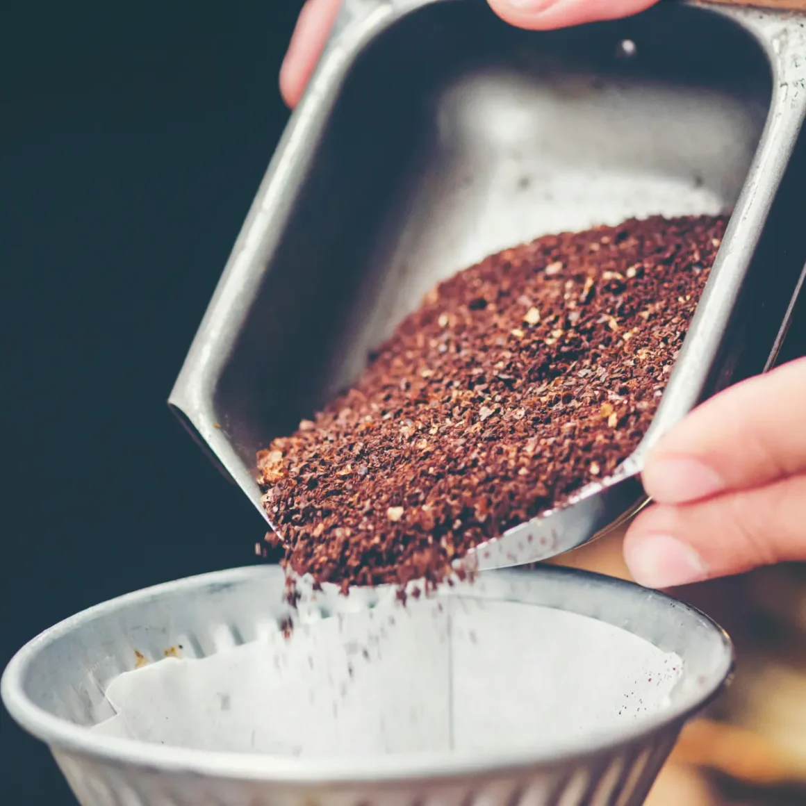 barista pouring coffee into a filter