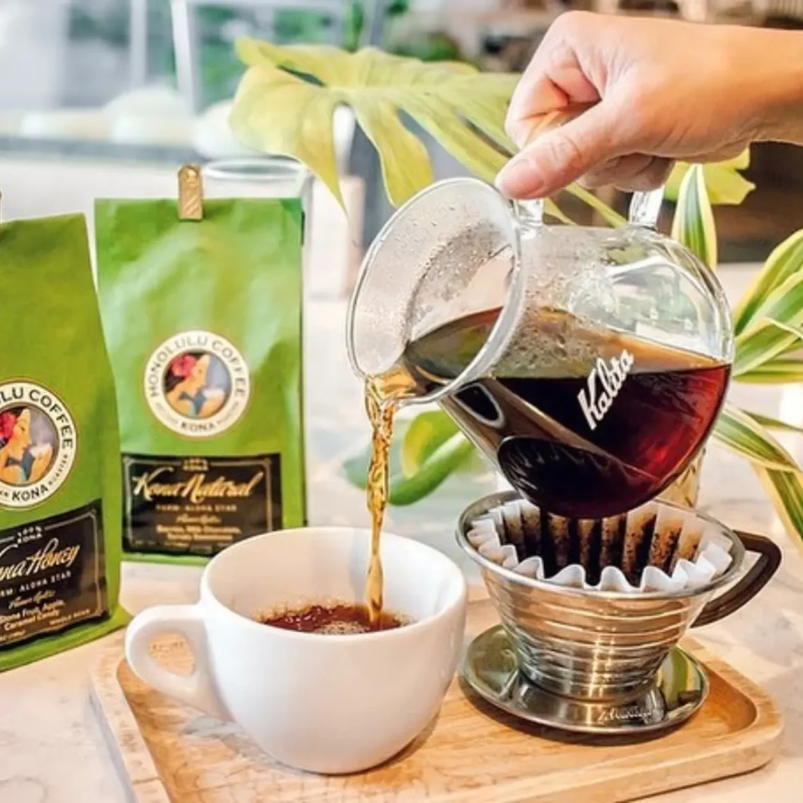 a person pouring kalita wave coffee into a cup