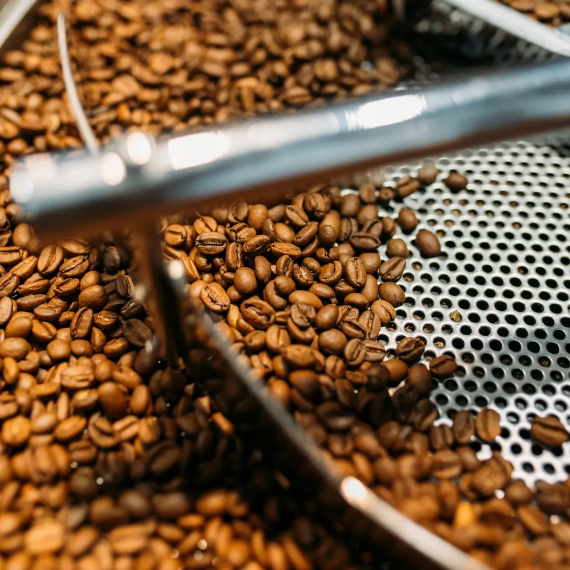 a roasted coffee beans in a container