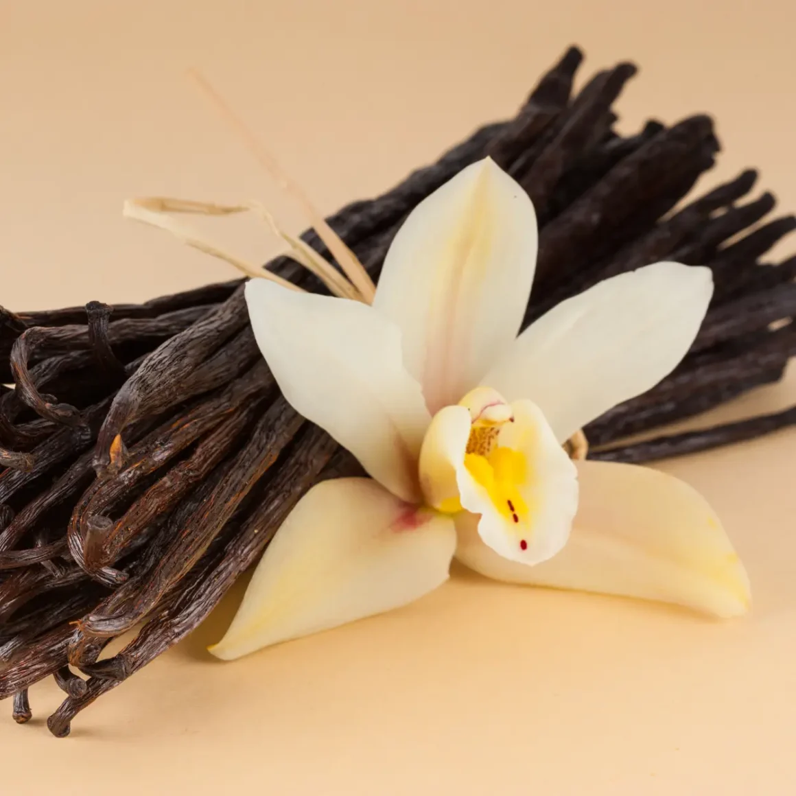 a flower next to vanilla sticks
