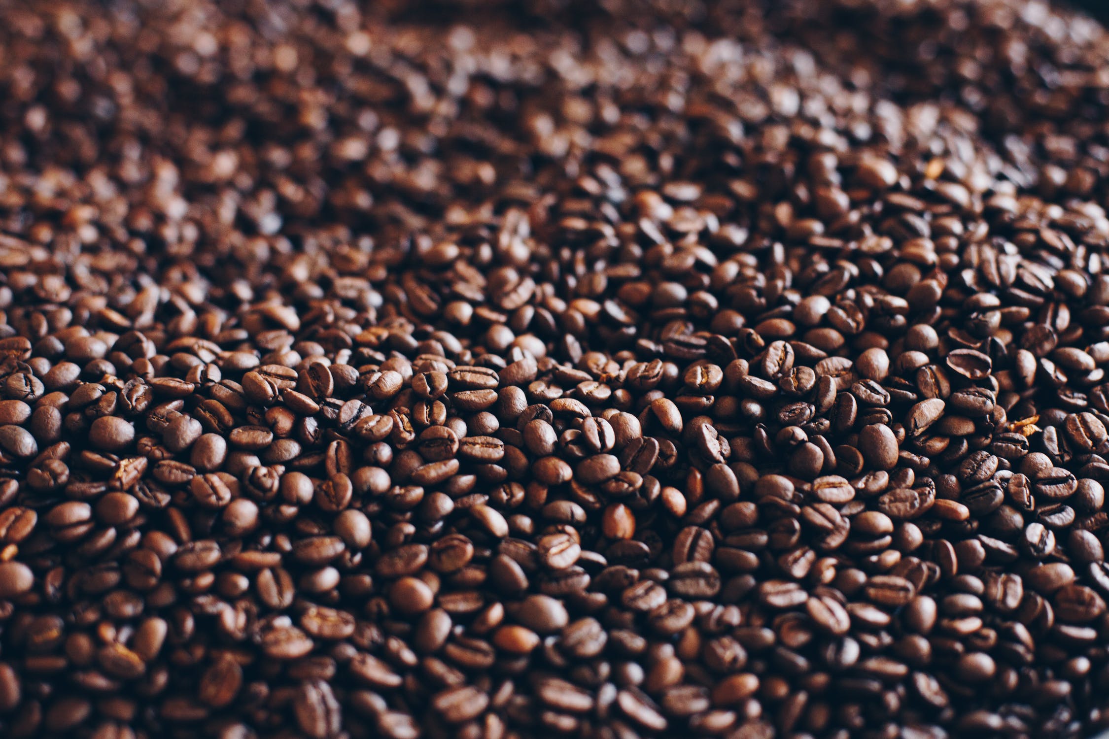 The Four Main Types Of Coffee Beans The Coffee Guru