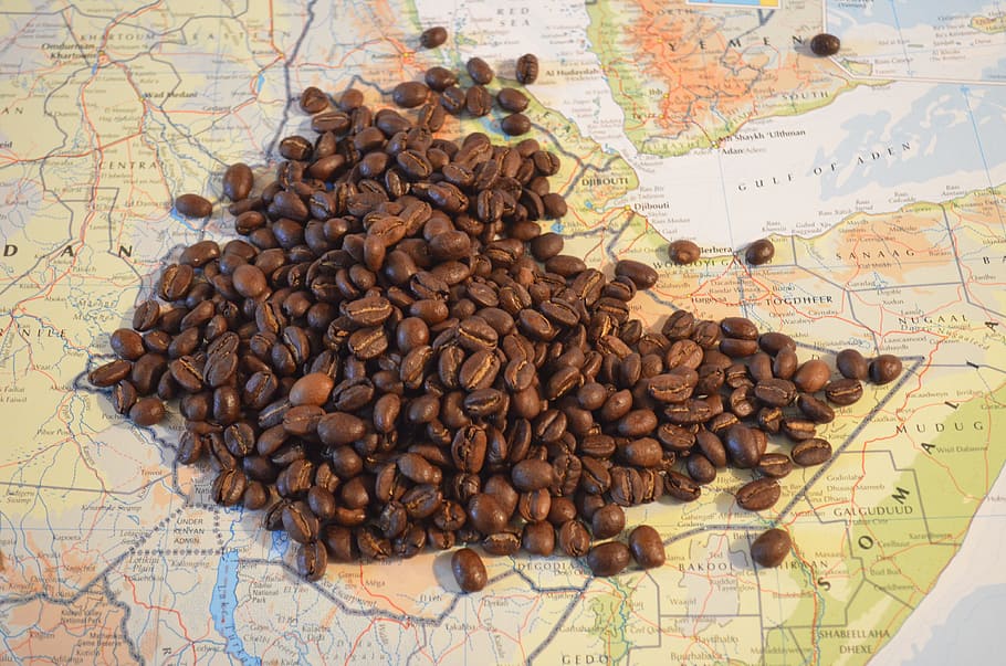 The History Of Coffee The Coffee Guru